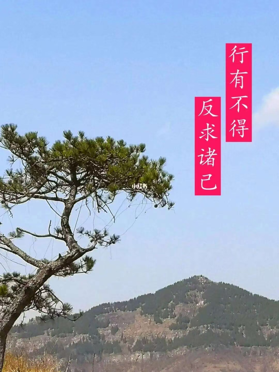 微信图片_20241211225603.jpg